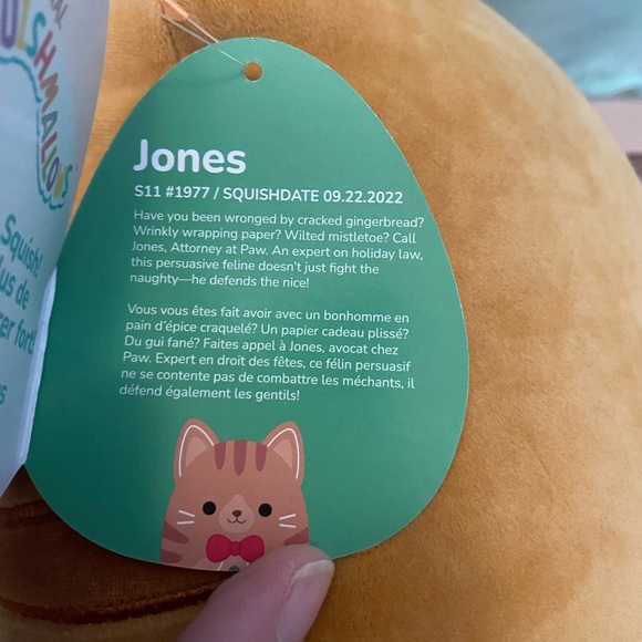 NWT 11” Jones the gingerbread cat Holiday Squishmallow - Picture 2 of 5